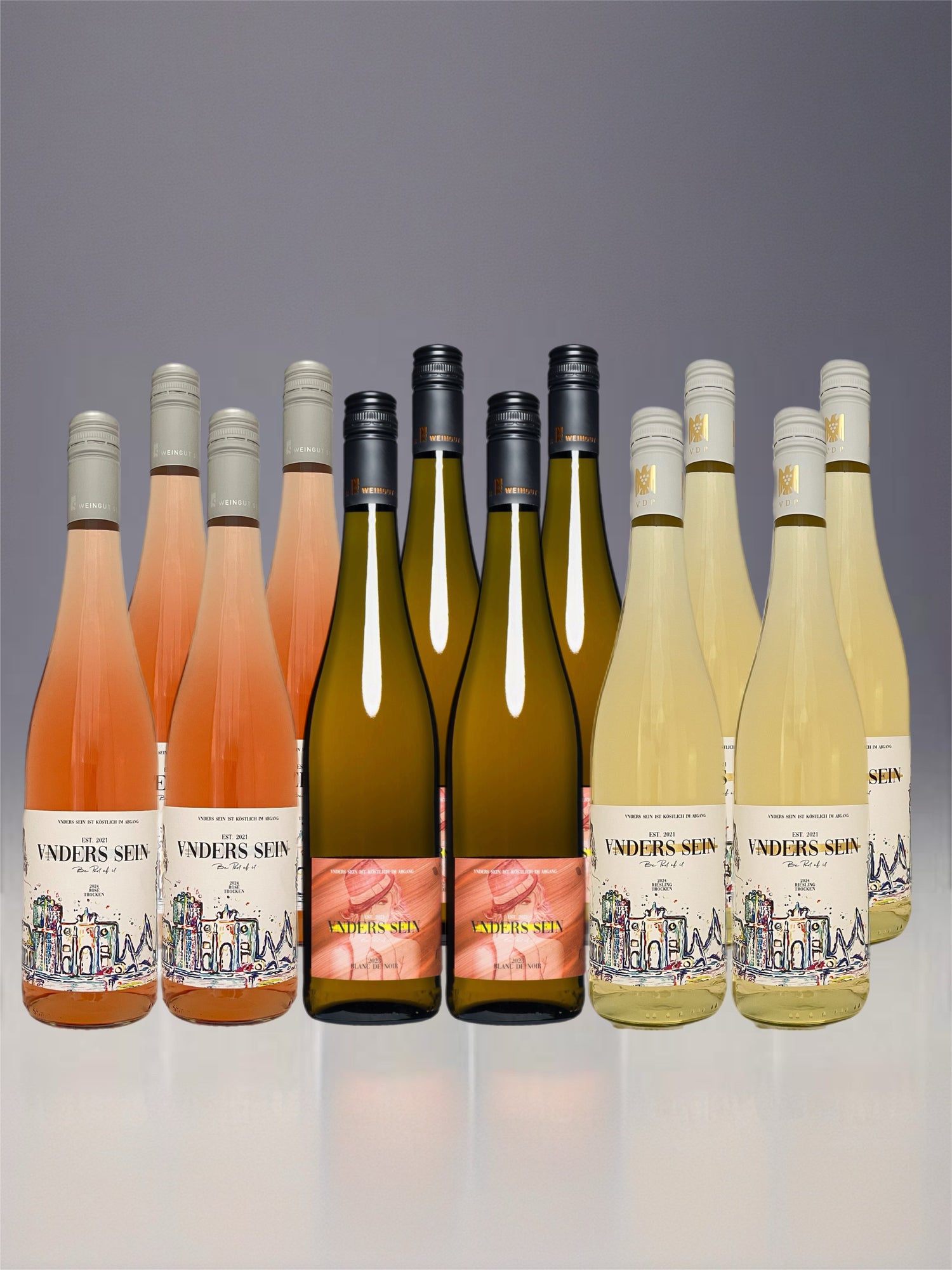 🍷 Party-Paket (12 Flaschen gemischt)